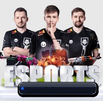 五大服务分区,信息按项目分类(WL SPORTS)